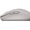 Фото - Миша бездротова Canyon MW-12 Dual Band Beige (CNS-CMSW12BG) | click.ua