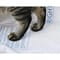 Фото - Змінна підкладка для наповнювача Petkit High Performance Cat Litter Pad Ultra (P99035) | click.ua