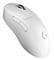Фото - Мышь беспроводная Logitech G Pro X Superlight 2 Dex White (910-007365) | click.ua
