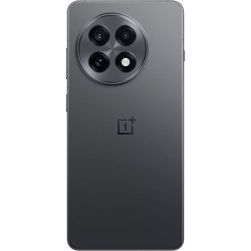 Смартфон OnePlus 13R 12/256GB Nebula Noir_EU