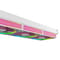 Фото - Система водяного охлаждения ID-Cooling FX360 INF Pink | click.ua