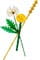 Фото - Конструктор LEGO Recruitment Botanicals Польові квіти (30701) | click.ua