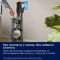 Фото - Акумуляторний пилосос Electrolux EP83HB25UV | click.ua