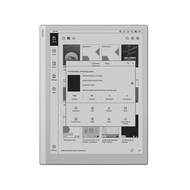 Электронная книга BOOX Go 10.3 White