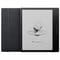 Фото - Електронна книга BOOX Go 7 Black | click.ua