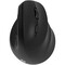 Фото - Миша бездротова 2E MF325 Black (2E-MF325WBK) | click.ua