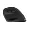 Фото - Миша бездротова 2E MF325 Black (2E-MF325WBK) | click.ua