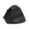 Фото - Миша бездротова 2E MF325 Black (2E-MF325WBK) | click.ua