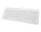 Фото - Клавиатура Maxxter KB-01W-UA White | click.ua