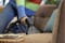 Фото - Пылесос Karcher SE 3 Compact Floor (1.081-533.0) | click.ua