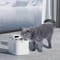 Фото - Фільтр Petkit Water Fountain for EverSweet Max 5 шт (P4171) | click.ua