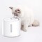 Фото - Фильтр Petkit Water Fountain for EverSweet 3.0 5 шт (P4161) | click.ua