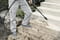 Фото - Мiнiмийка Karcher K 6 Special (1.168-508.0) | click.ua