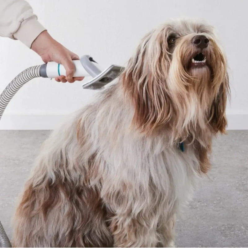Набор по уходу за животными Petkit 5 in 1 Grooming Kit LM4