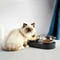 Фото - Миска Petkit Fresh Nano-Metal Pet/Cat Two Bowl Stand (P5201) | click.ua