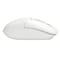 Фото - Миша бездротова A4Tech FB12S White | click.ua