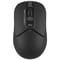 Фото - Миша бездротова A4Tech FB12S Black | click.ua