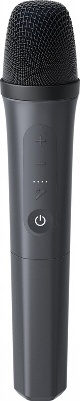 Акустична система Anker SoundCore Rave 3S Black (A31A3012)