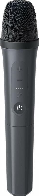 Акустическая система Anker SoundСore Rave 3S Black (A31A3012)