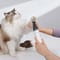 Фото - Набор для груминга Mova Pet Grooming G1Pro | click.ua