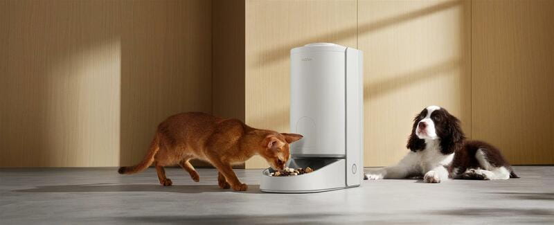 Смарт-кормушка Mova Automatic PET Feeder PF10 Pro (PF10A)
