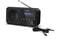 Фото - Радиоприемник Sharp DR-P420 Midnight Black (DR-P420(BK)) | click.ua