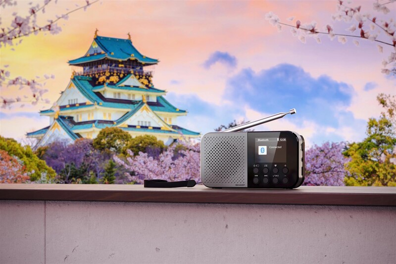 Радіоприймач Sharp DR-P520 Grey