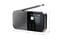Фото - Радиоприемник Sharp DR-P520 Grey (DR-P520(GY)) | click.ua