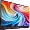 Фото - Монітор Acer 15.6" PM161QB1bmiuux (UM.ZP1EE.101) IPS Black | click.ua