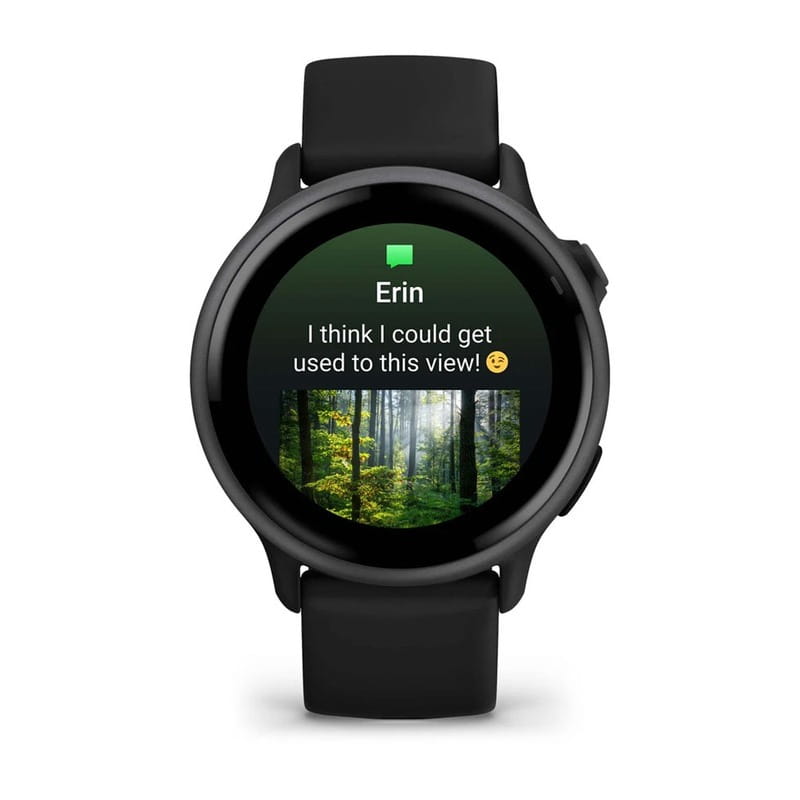 Смарт-часы Garmin Vivoactive 6 Slate with Black Silicone Band (010-02985-40)