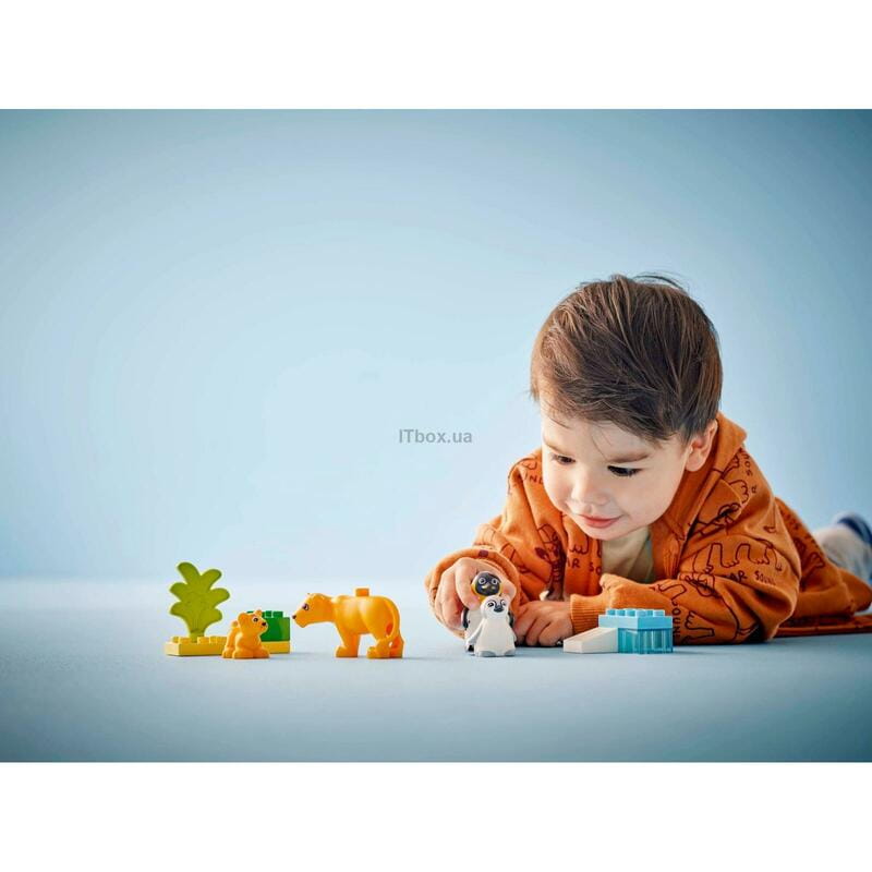 Конструктор LEGO Duplo Town Сімейства диких тварин: Пінгвіни та Леви (10442)