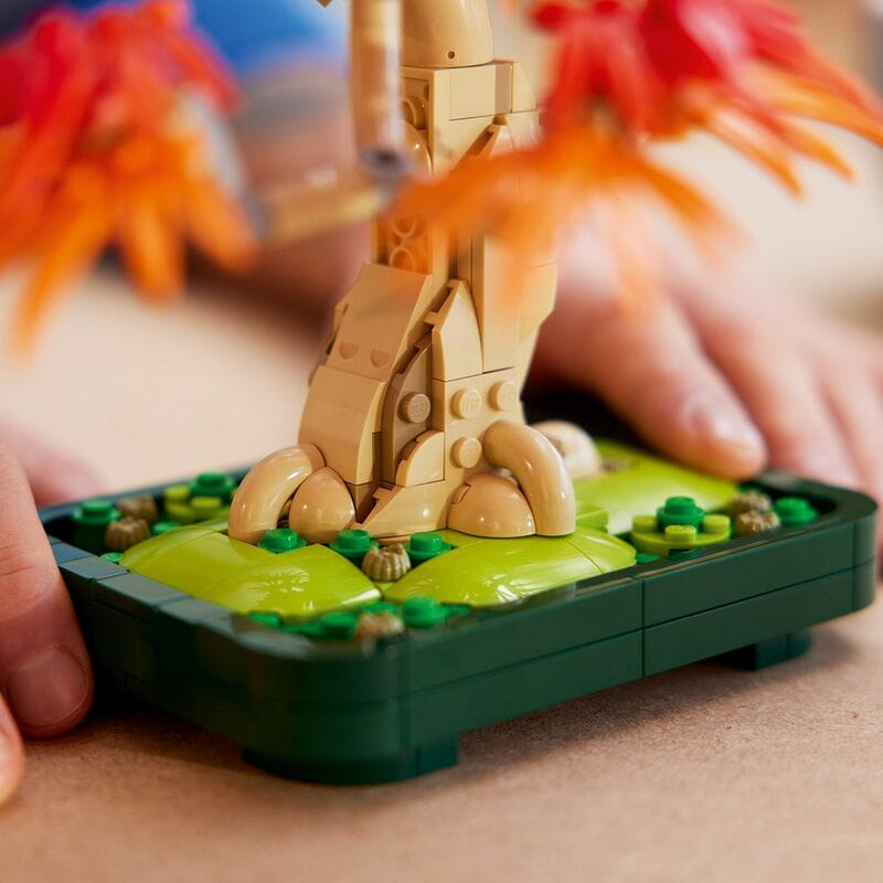 Конструктор LEGO Botanicals Бонсай c японского красного клена (10348)