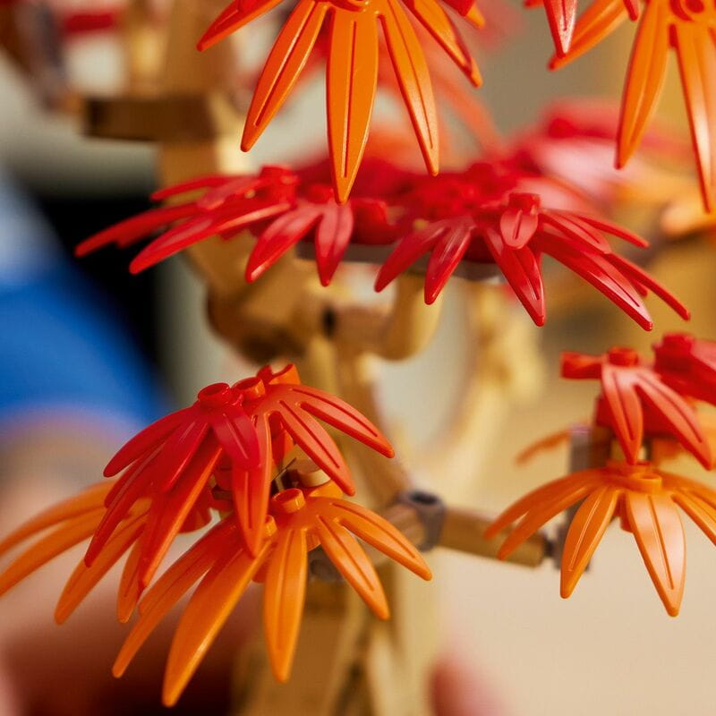Конструктор LEGO Botanicals Бонсай c японского красного клена (10348)