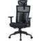 Фото - Крісло офісне Officepro Balance OC620-B-B-B Black | click.ua