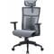 Фото - Крісло офісне Officepro Balance OC620-B-DG-DG Black/Dark Gray | click.ua