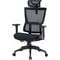Фото - Крісло офісне Officepro Elegant OC660-B-B-B Black | click.ua