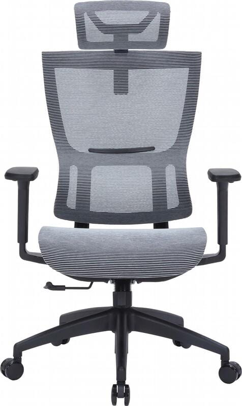 Крісло офісне Officepro Elegant OC660-B-DG-DG Black/Dark Gray