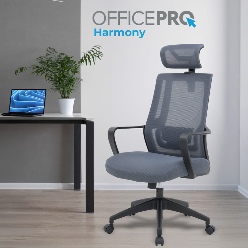 Кресло офисное OfficePro Harmony OC310-B-G-G Black/Gray