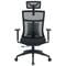 Фото - Крісло офісне OfficePro Balance OC550-B-B-B Black | click.ua
