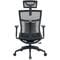 Фото - Крісло офісне OfficePro Balance OC550-B-B-B Black | click.ua
