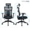 Фото - Крісло офісне OfficePro Balance OC550-B-B-B Black | click.ua