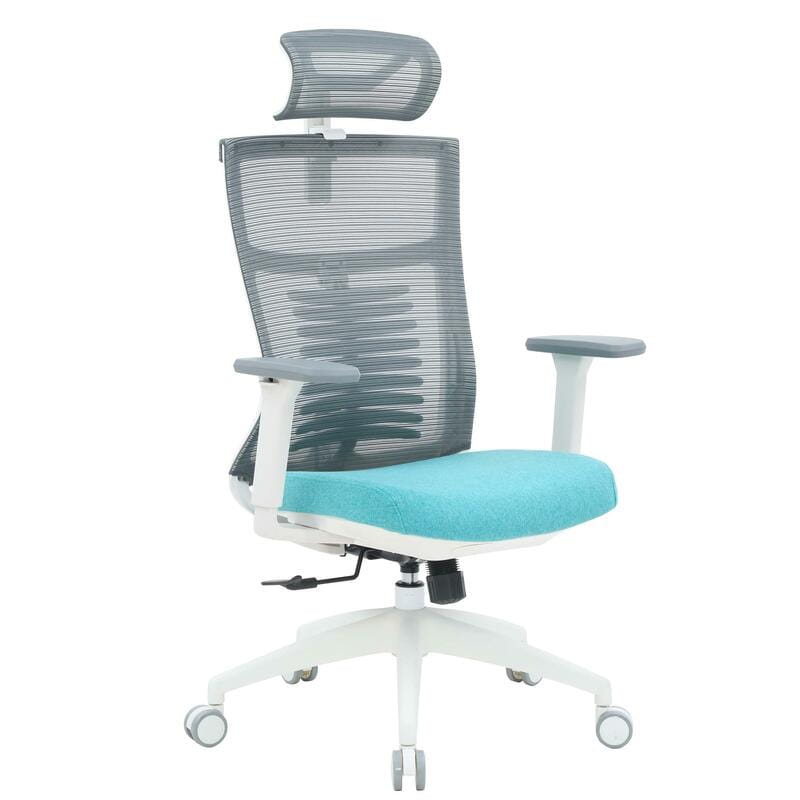 Крісло офісне Officepro Balance OC550-W-DG-BL White/Dark Gray/Blue