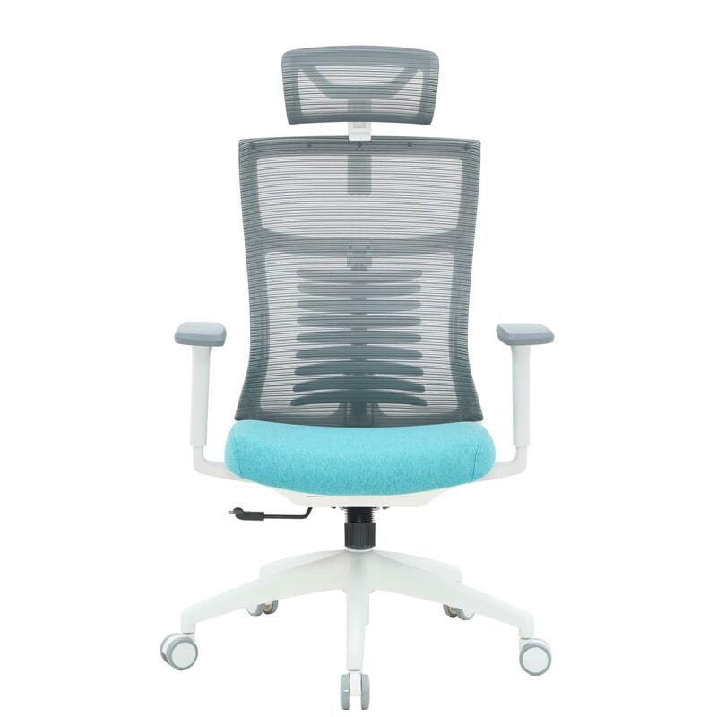 Крісло офісне Officepro Balance OC550-W-DG-BL White/Dark Gray/Blue