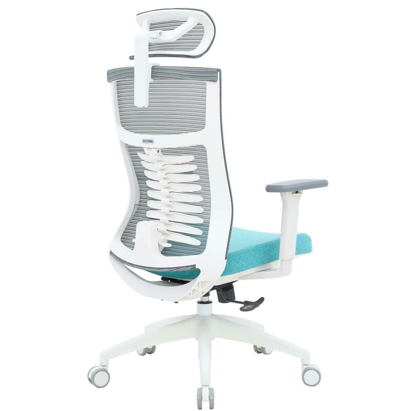 Крісло офісне Officepro Balance OC550-W-DG-BL White/Dark Gray/Blue
