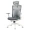 Фото - Крісло офісне Officepro Balance OC550-W-DG-DG White/Dark Gray | click.ua