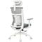Фото - Крісло офісне Officepro Balance OC550-W-DG-DG White/Dark Gray | click.ua