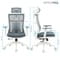 Фото - Крісло офісне Officepro Balance OC550-W-DG-DG White/Dark Gray | click.ua