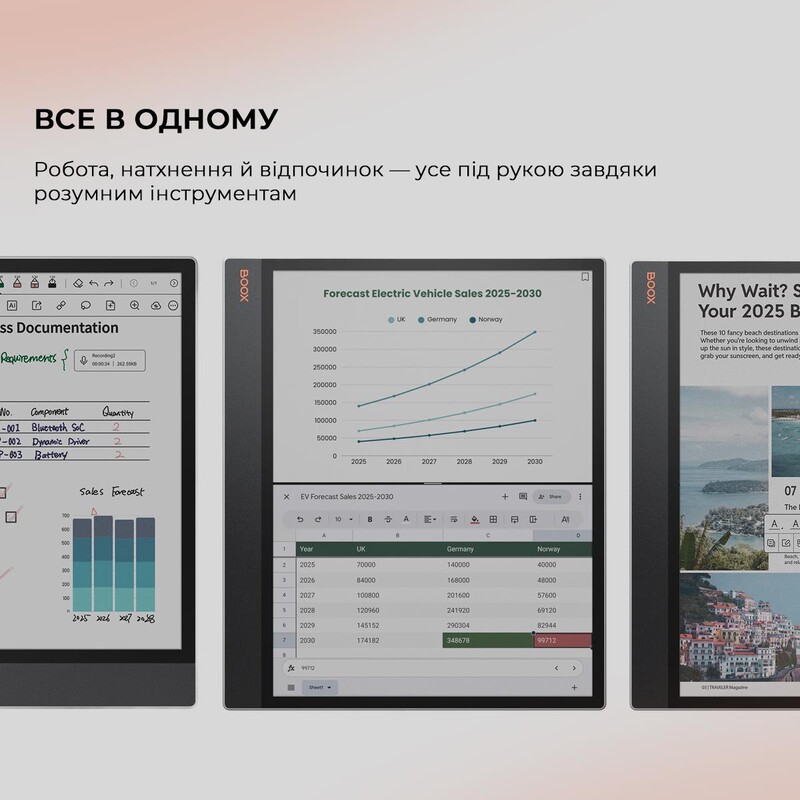 Электронная книга BOOX Tab X С