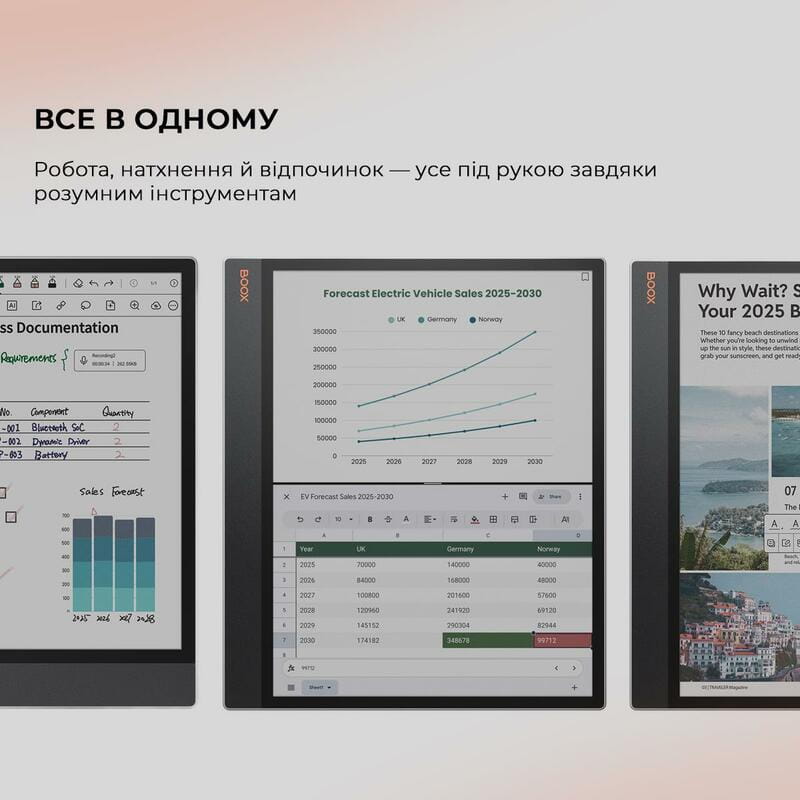 Электронная книга BOOX Tab X С