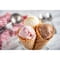 Фото - Мороженица Cuisinart Cool Scoops (ICE21E) | click.ua